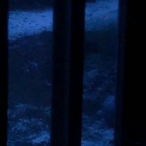 Meet your Posher, Alison